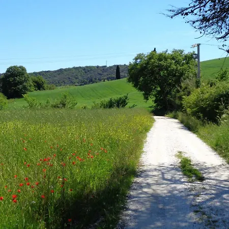 Poderino I Poggetti * Rosignano Marittimo